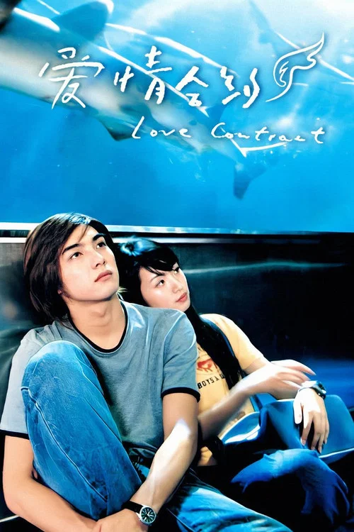 爱情合约(2004)海报