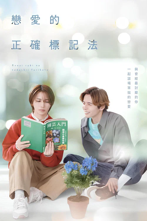 恋爱的正确标记法(2025)海报
