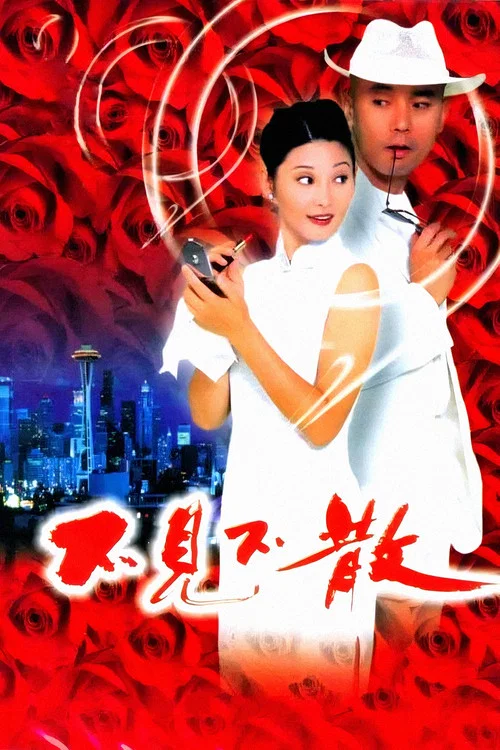 不见不散(1998)海报