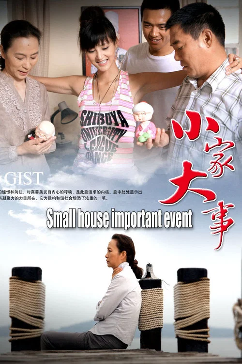 小家大事(2008)海报