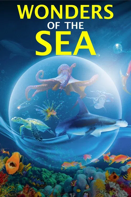 奇妙的海洋(2017)海报