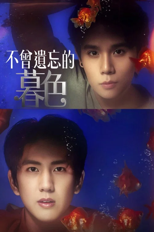 不曾遗忘的暮色(2023)海报