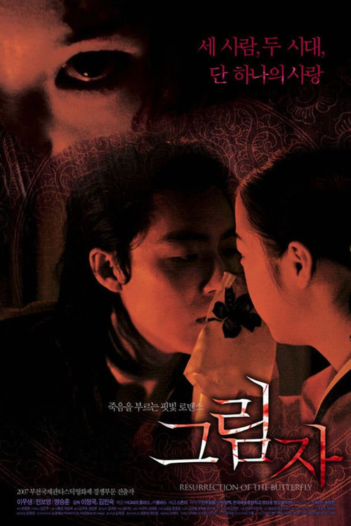 影子 2007(2007)海报