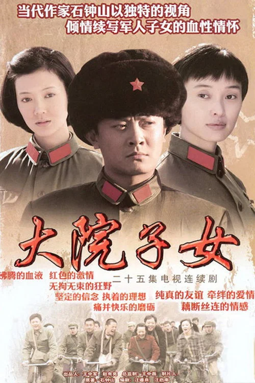 大院子女(2009)海报