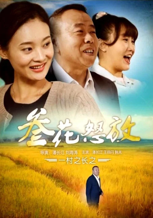 一村之长之参花怒放(2017)海报