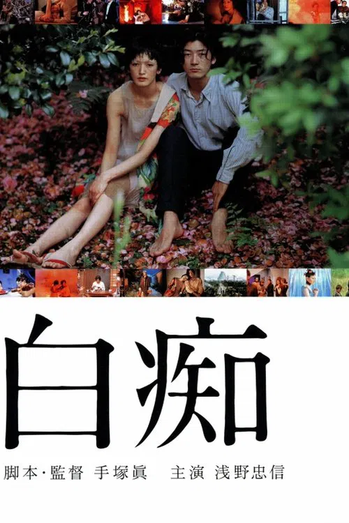 白痴 1999(1999)海报