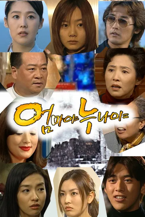 孪生兄妹(2000)海报