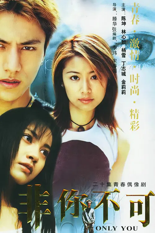 非你不可(2002)海报