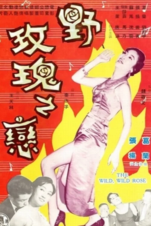 野玫瑰之恋剧照3
