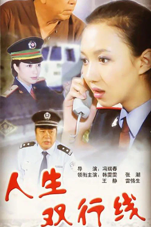 人生双行线(2010)海报