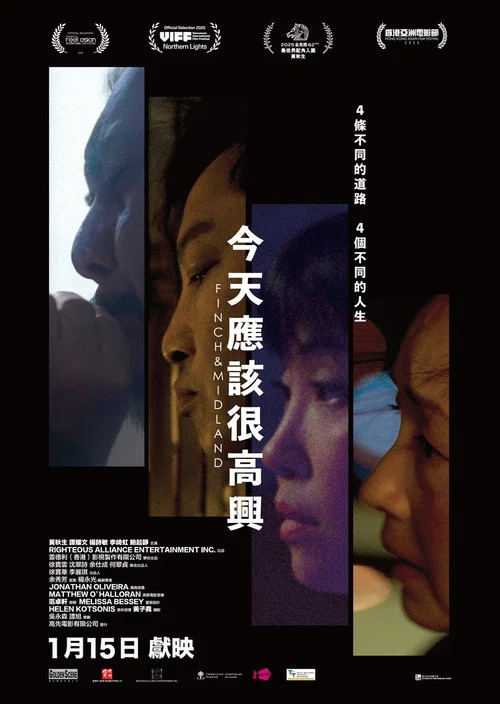 今天应该很高兴(2026)海报