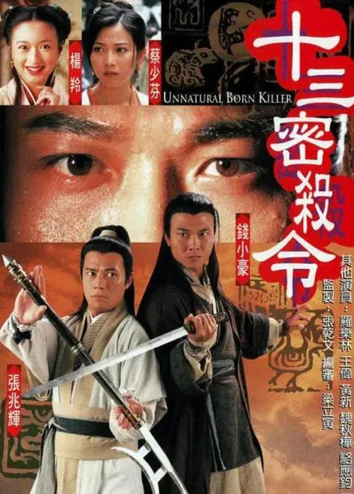 十三密杀令(1996)海报