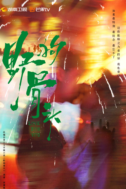 野狗骨头剧照4