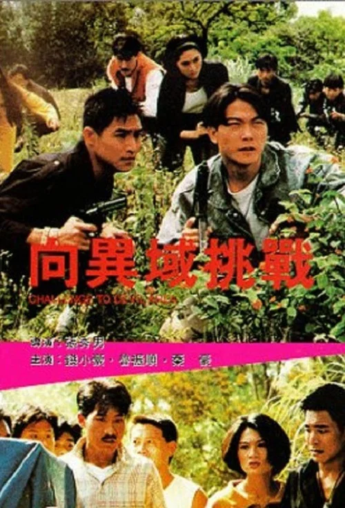向异域挑战粤语(1991)海报