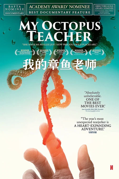 我的章鱼老师(2020)海报