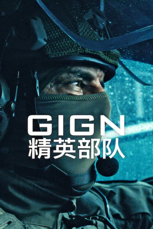 精英部队2026(2026)海报