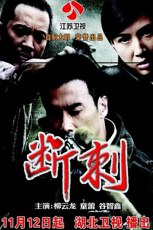 断刺(2011)海报