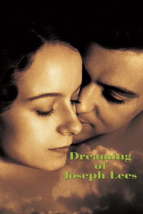 当你微笑时(1999)海报