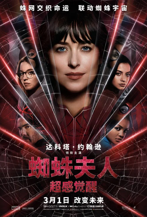 蜘蛛夫人:超感觉醒剧照2