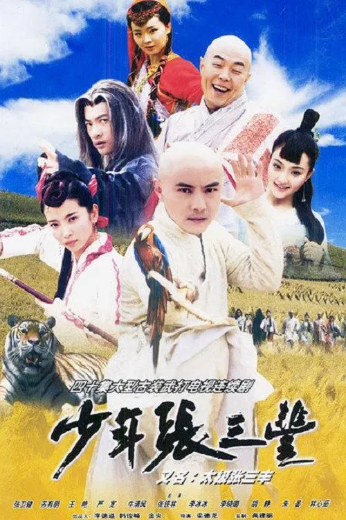 少年张三丰(2001)海报