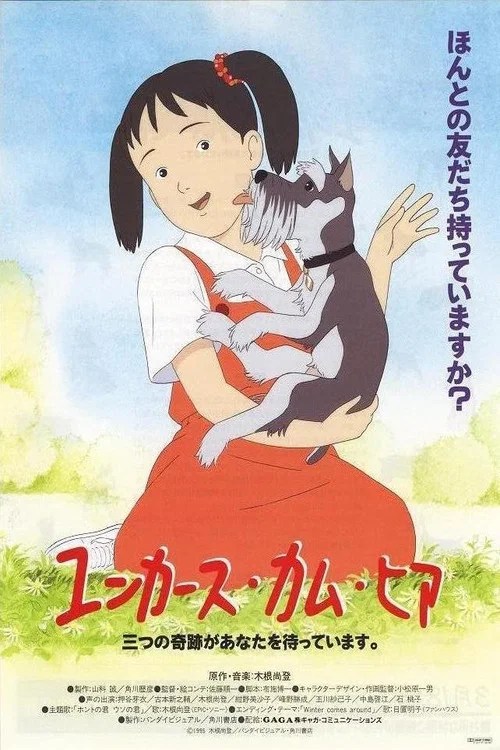祈愿物语(1994)海报