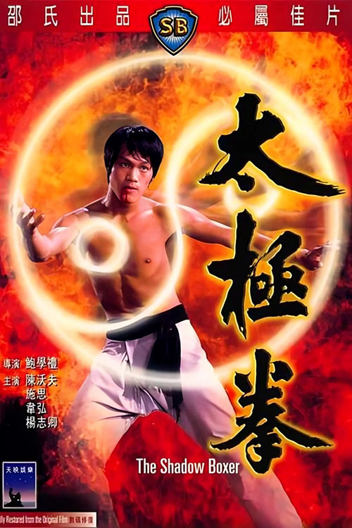 太极拳(1974)海报