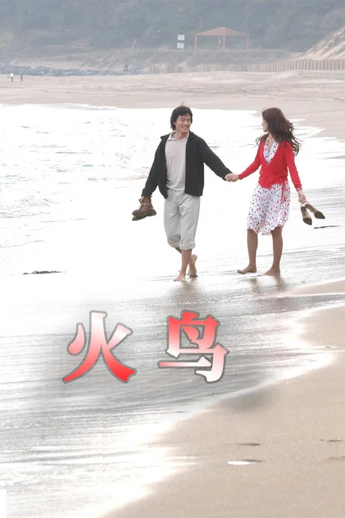 火鸟(2004)海报