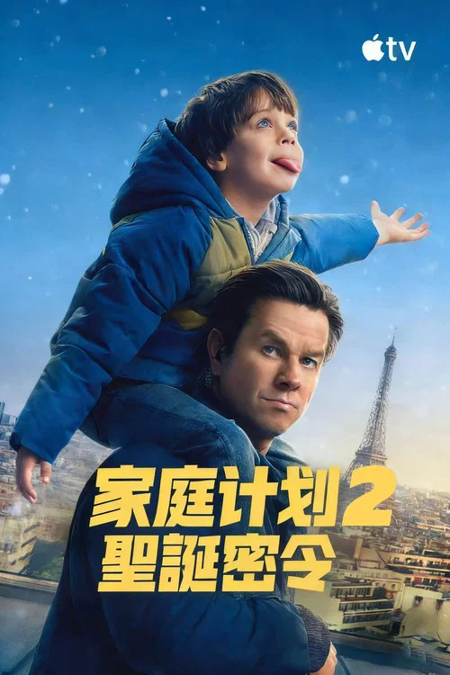 家庭计划2(2025)海报