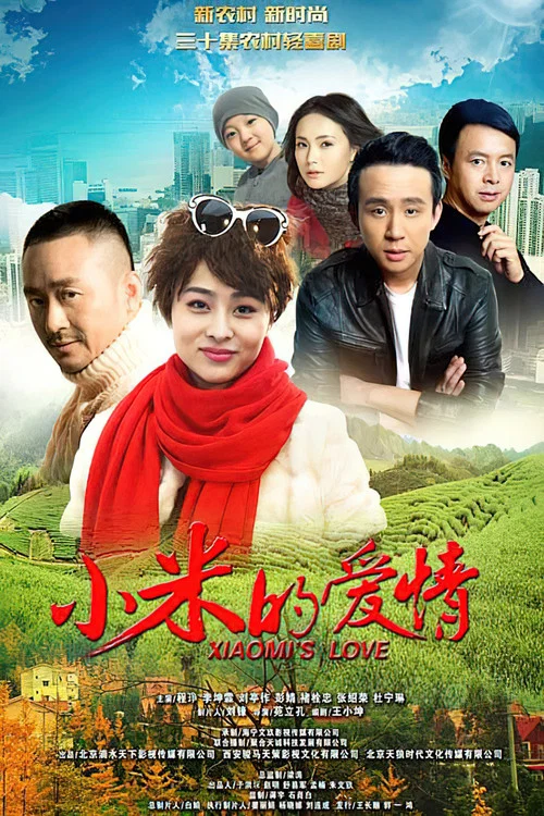 小米的爱情(2016)海报