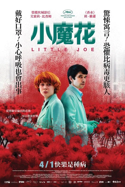 小小乔(2019)海报