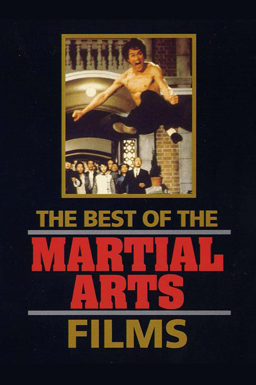 金装武术电影大全(1990)海报