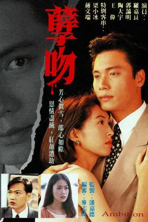 孽吻1996国语(1996)海报