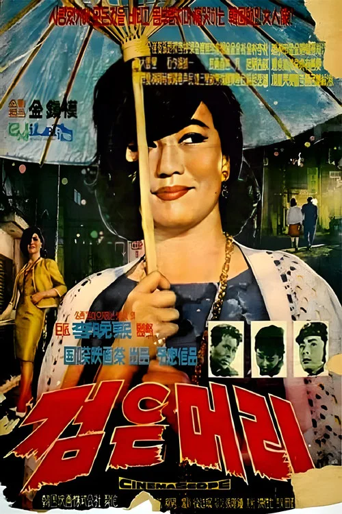 黑头发(1964)海报