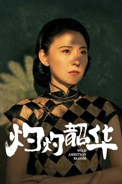灼灼韶华剧照7