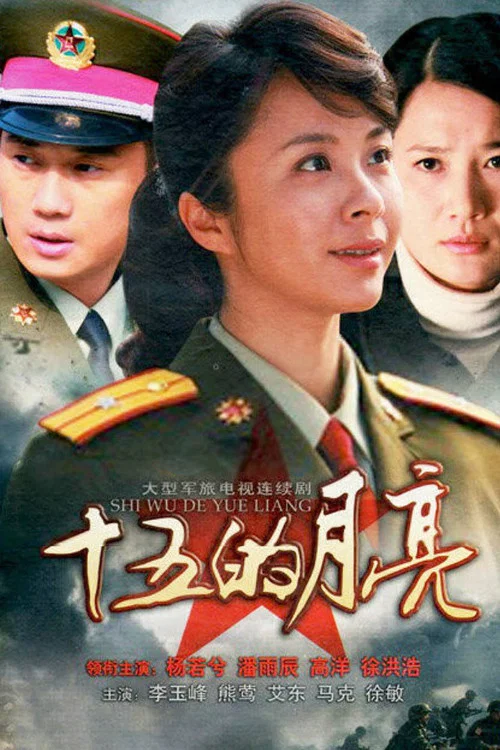 十五的月亮2012(2012)海报