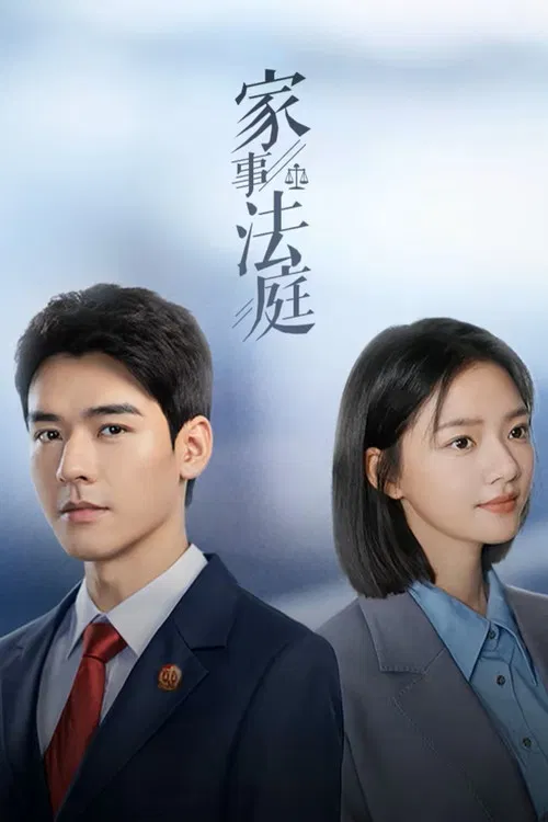 家事法庭剧照2