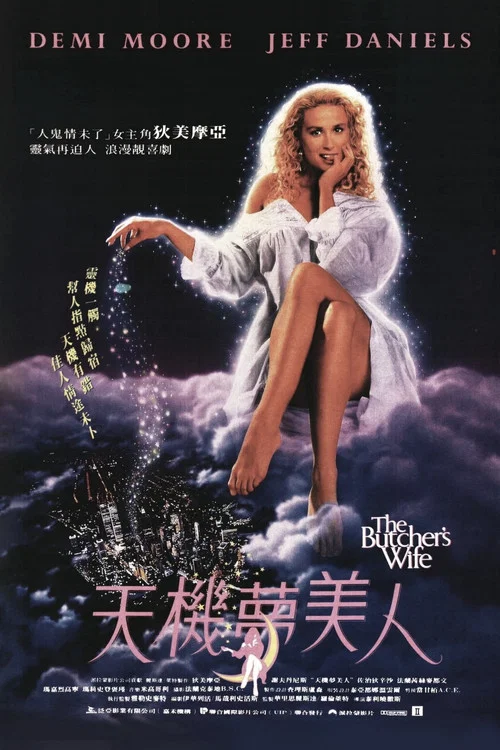 天机梦美人(1991)海报