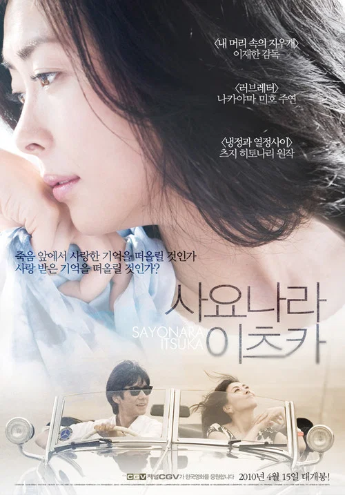 再见,总有一天(2010)海报
