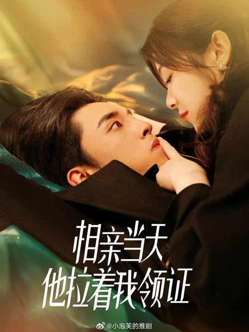 情证(2025)海报