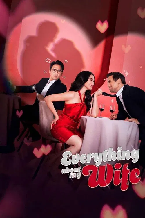 关于我妻子的一切(2025)海报