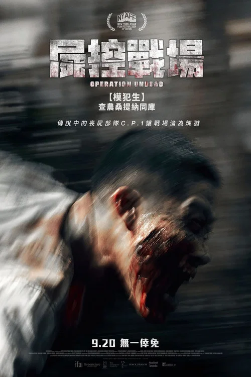 复活之战(2024)海报