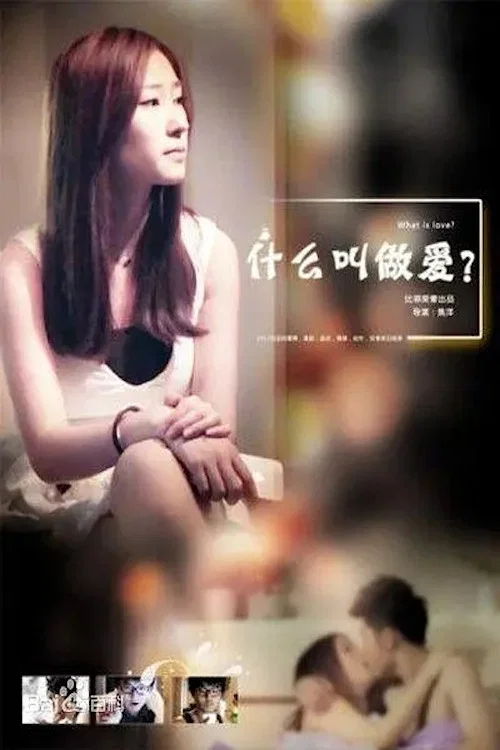 什么叫做爱(2013)海报