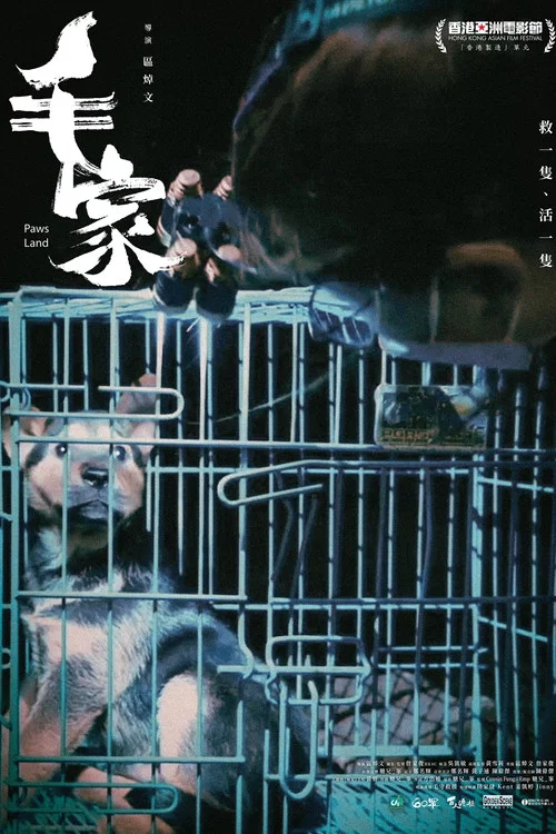 毛家 2024(2025)海报