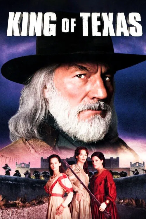 天惩无情(2002)海报