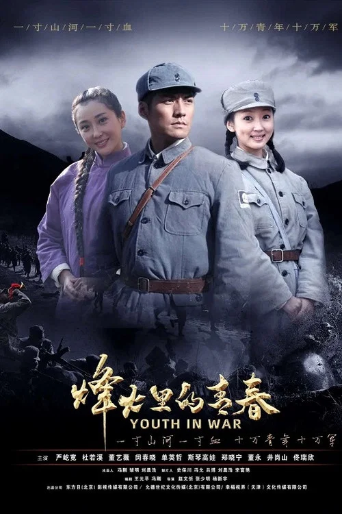 烽火硝烟里的青春(2020)海报
