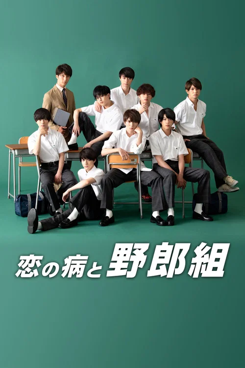 恋之病与野郎组(2019)海报