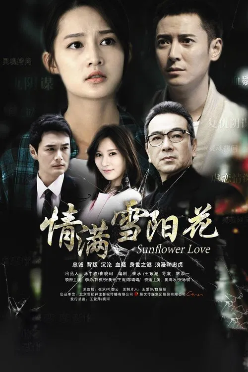 情满雪阳花(2015)海报
