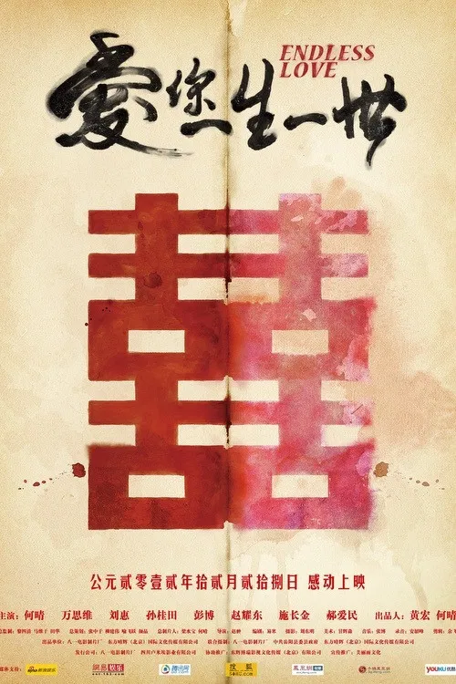 爱你一生一世(2012)海报