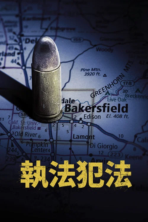 执法犯法剧照2