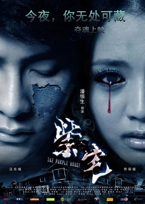 紫宅(2011)海报
